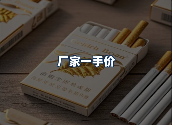 专业团队办公环境